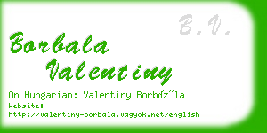 borbala valentiny business card